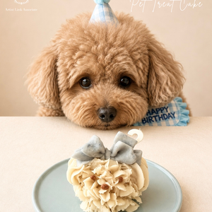 9月スタート「ペットトリーツケーキ」1Dayレッスン