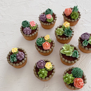 本物みたい！多肉好きさん必見の『多肉植物アイシングクッキー』