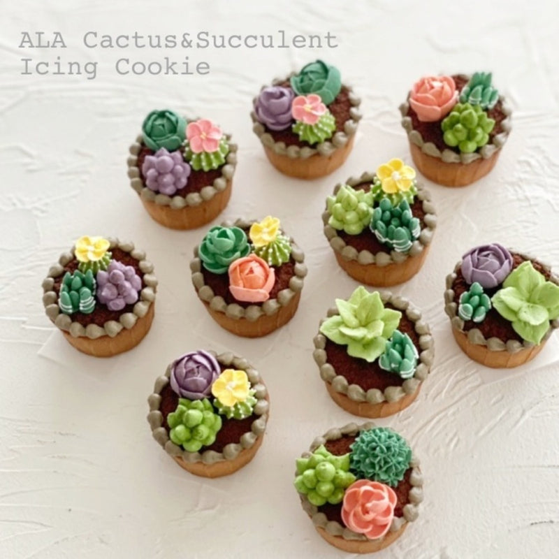 多肉植物アイシングクッキー