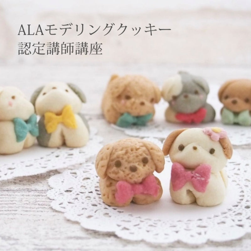 モデリングクッキー®認定講師講座