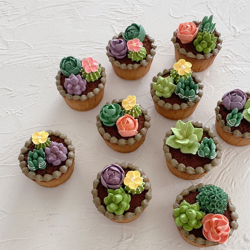 多肉植物アイシングクッキー